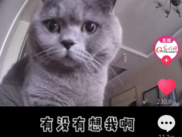 陜西鑫安安防監控攝像頭