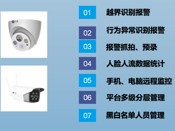 AI視頻分析聯(lián)網(wǎng)報(bào)警用在公墓能解決哪些問題？